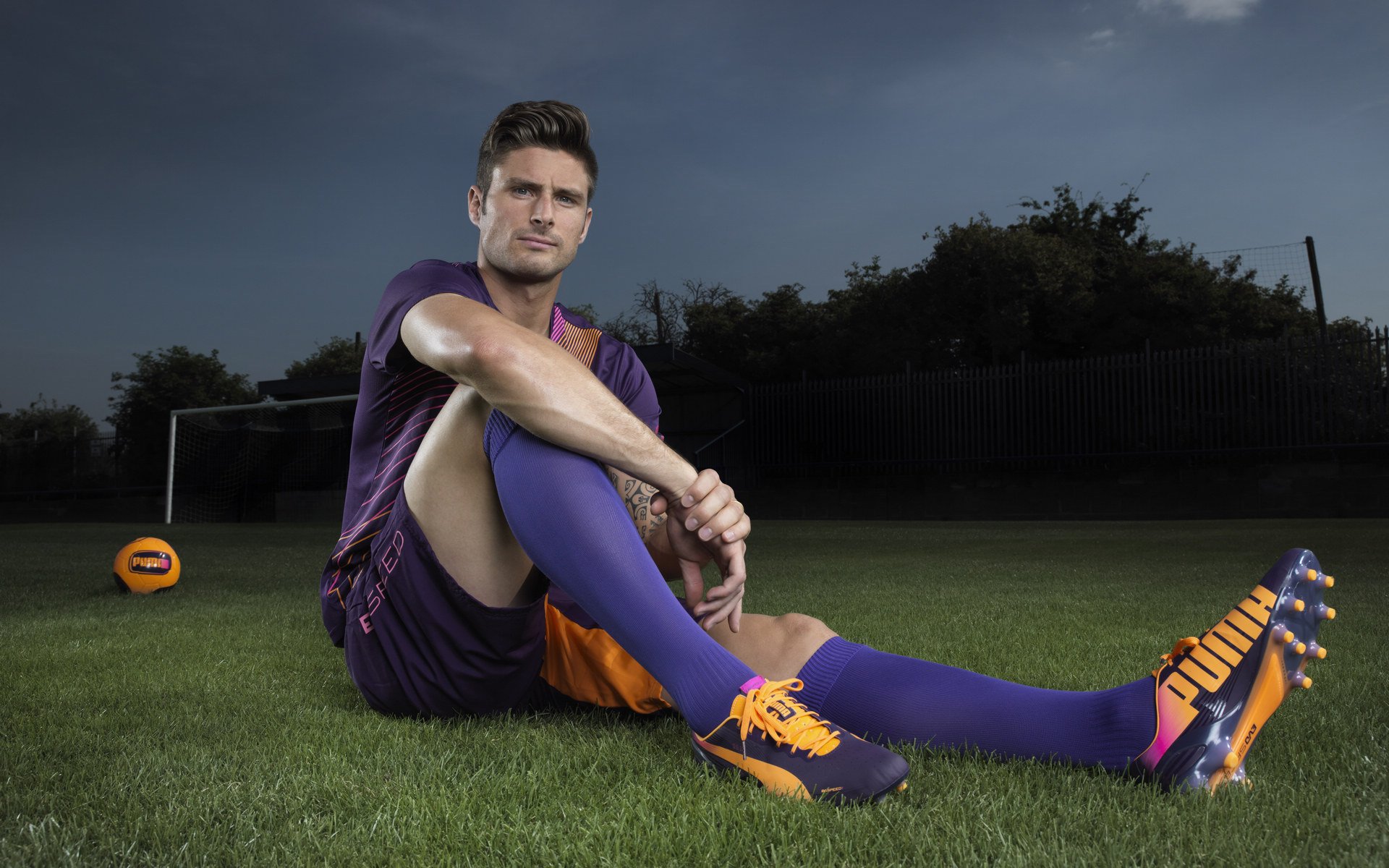 中国篮球联赛观众行为分析及市场营销策略，篮球观众席图片