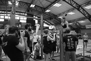 中国米兰体育-“2025世界游泳锦标赛：水上芭蕾精彩纷呈，艺术之美与竞技并行”